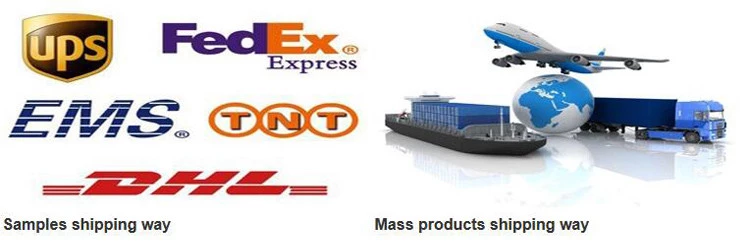 Global Logistics Structure