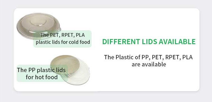 Detailed Product View 4
