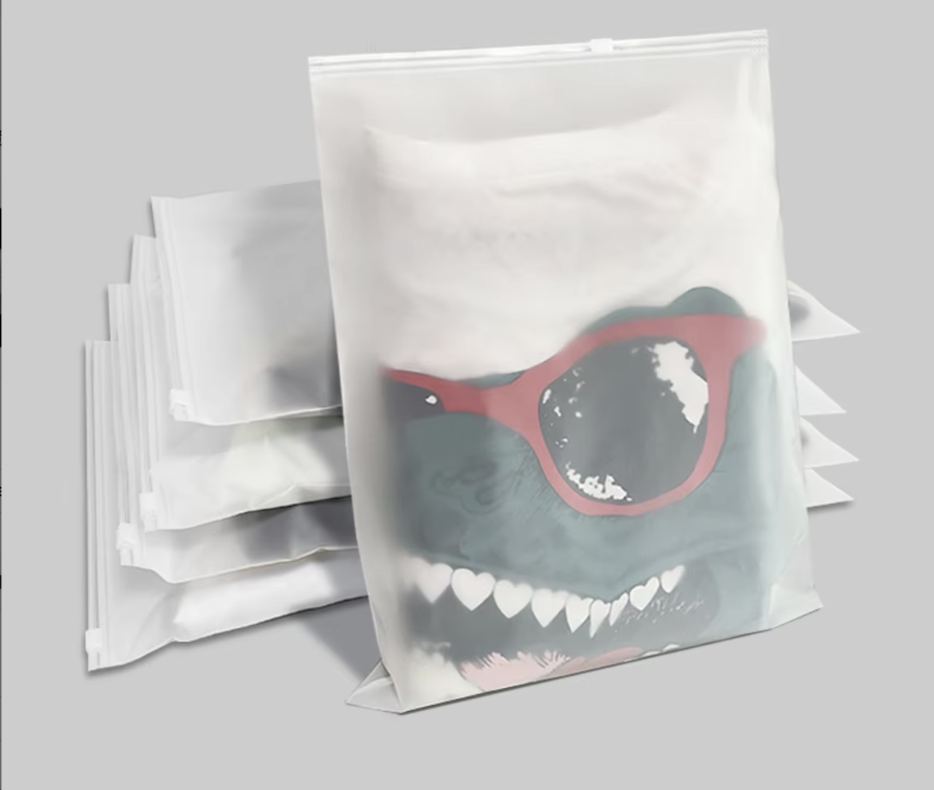 Recyclable Frosted Zipper Bag for Apparel and Footwear Packaging