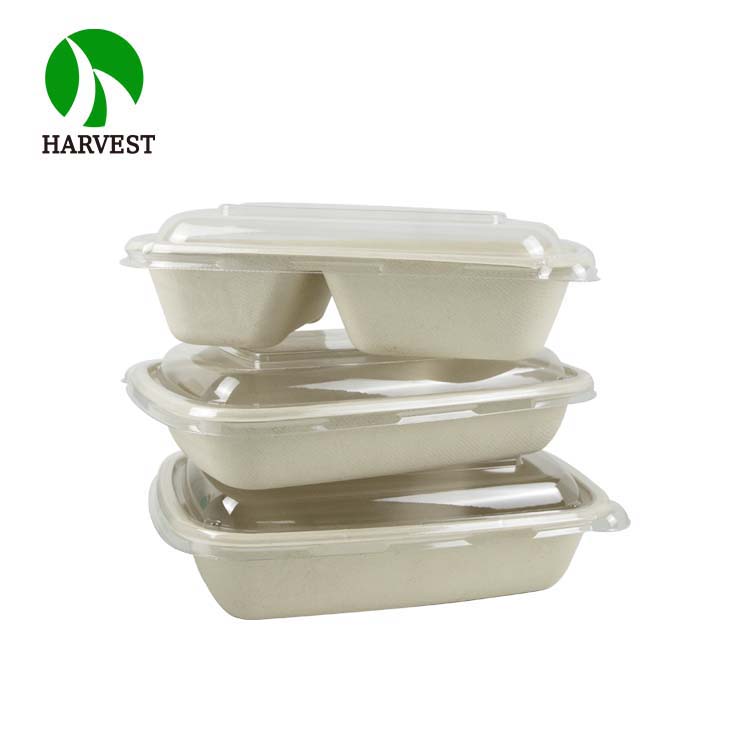 Multiple Specifications Rectangle Biodegradable Eco Friendly Food Packaging