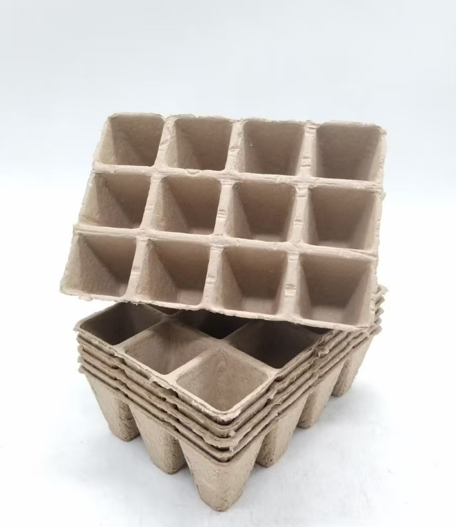 Eco-Friendly Recyclable Biodegradable Paper Cups and Boxes Set for Hot/Cold Drinks and Takeout Food Packaging