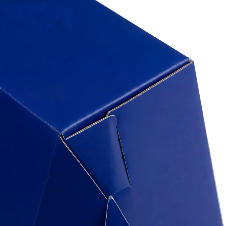 Detail View 2