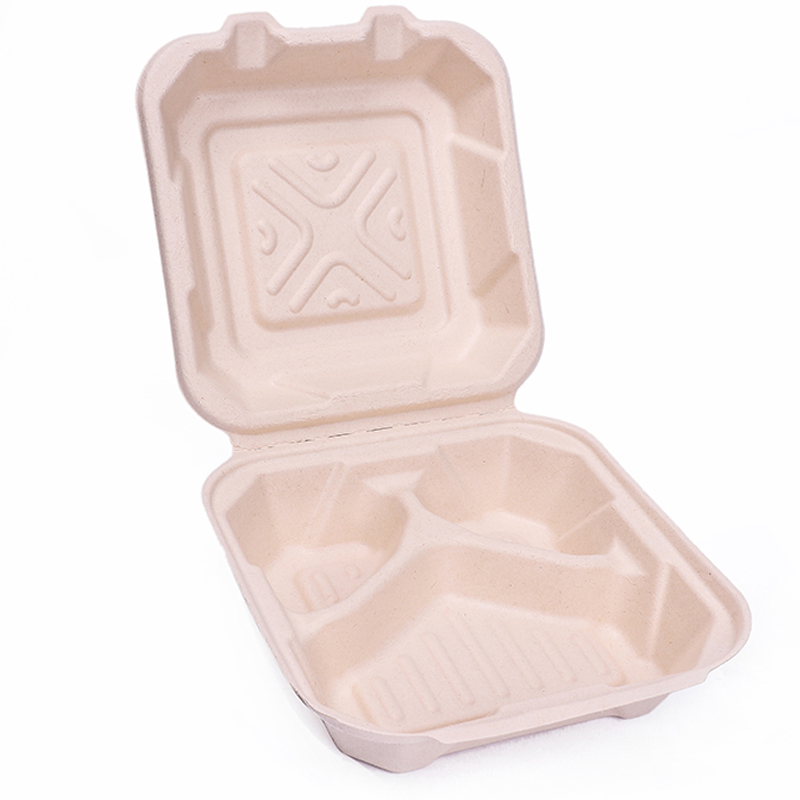 Top Sale Eco-Friendly Disposable Biodegradable Compostable Lunch Box Sugarcane Food Pack