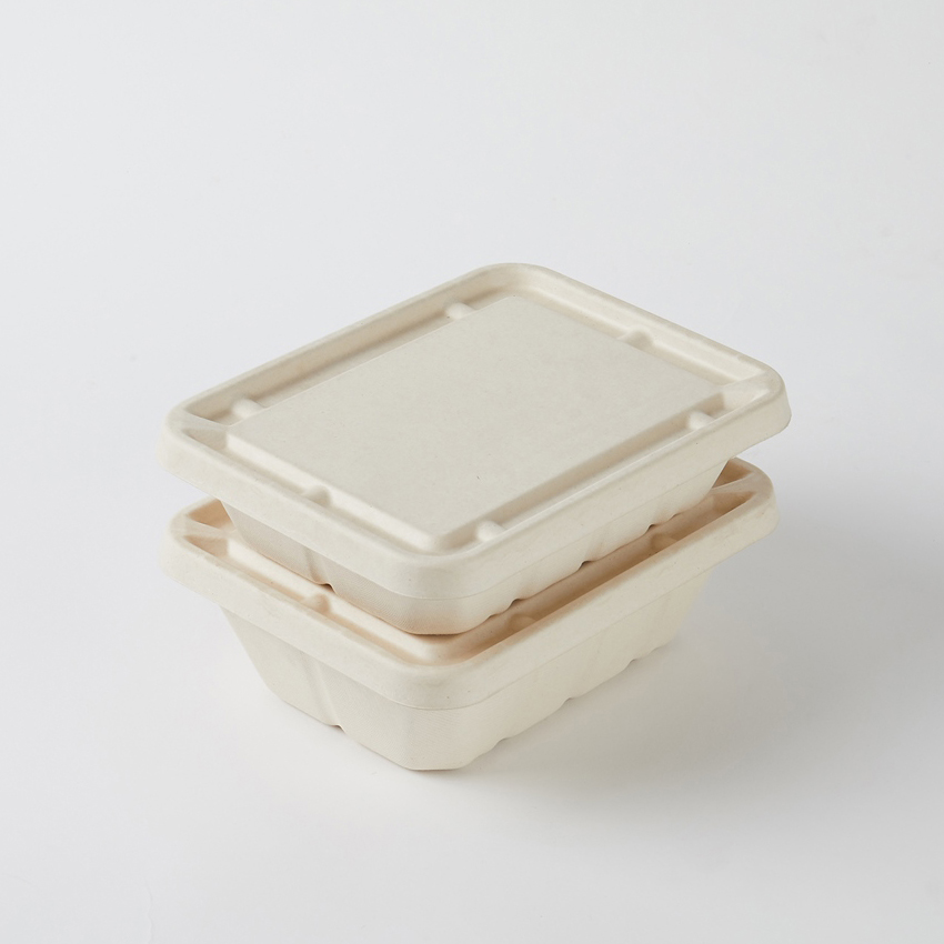 Biodegradable Recycled Sugarcane Molded Round Plate White Food Container Water Oil Proofing 9''/10''/12'' Custom Logo Acceptable