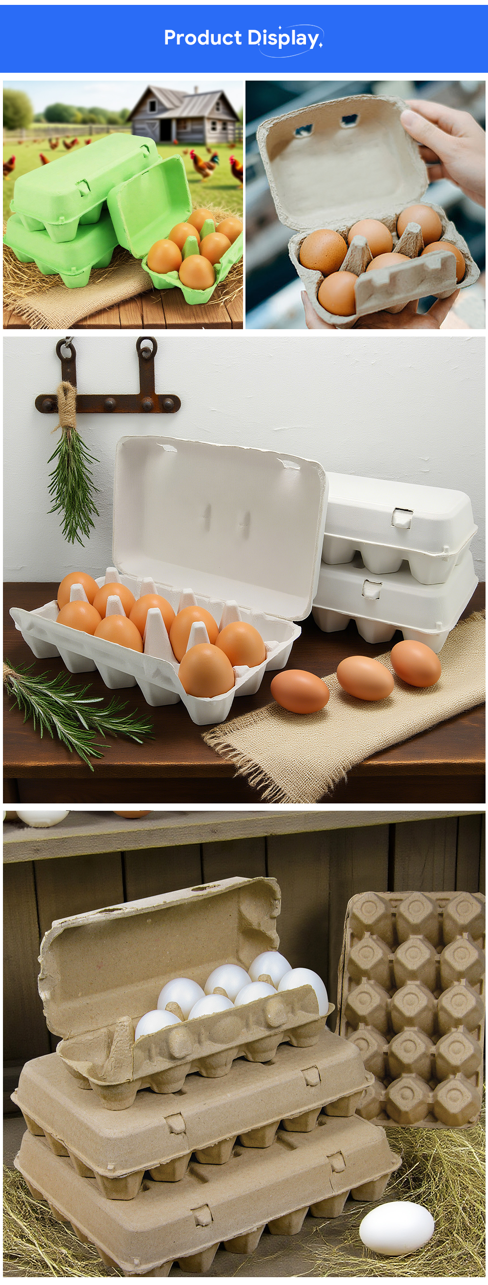Product Showcase 3