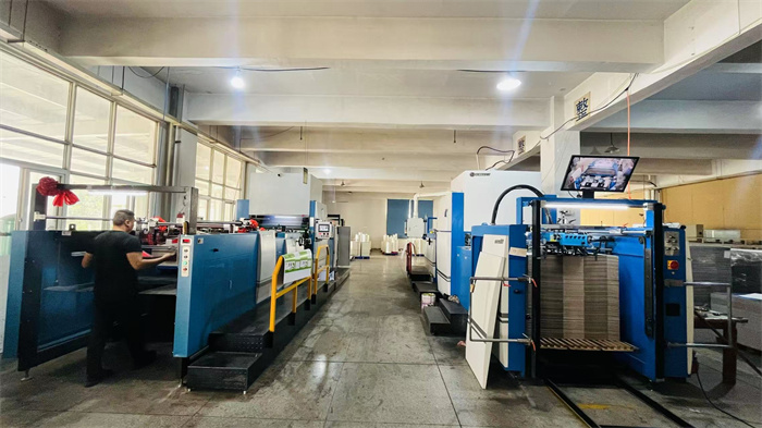 Advanced Printing Machine