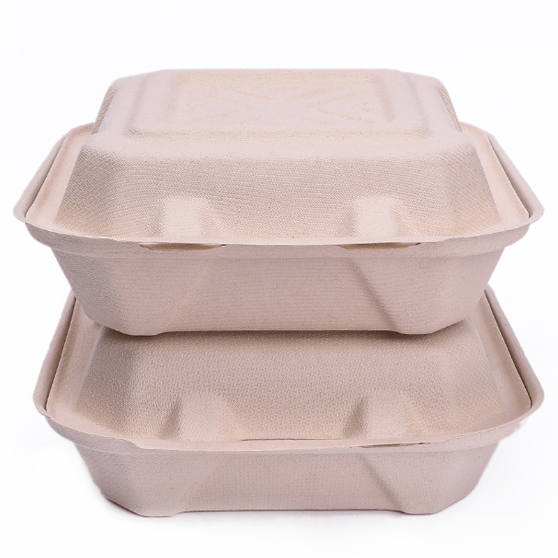Top Sale Eco-Friendly Disposable Biodegradable Compostable Lunch Box Sugarcane Food Pack
