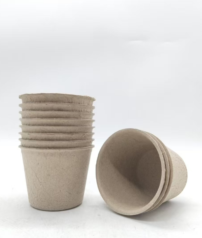 Eco-Friendly Recyclable Biodegradable Paper Cups and Boxes Set for Hot/Cold Drinks and Takeout Food Packaging