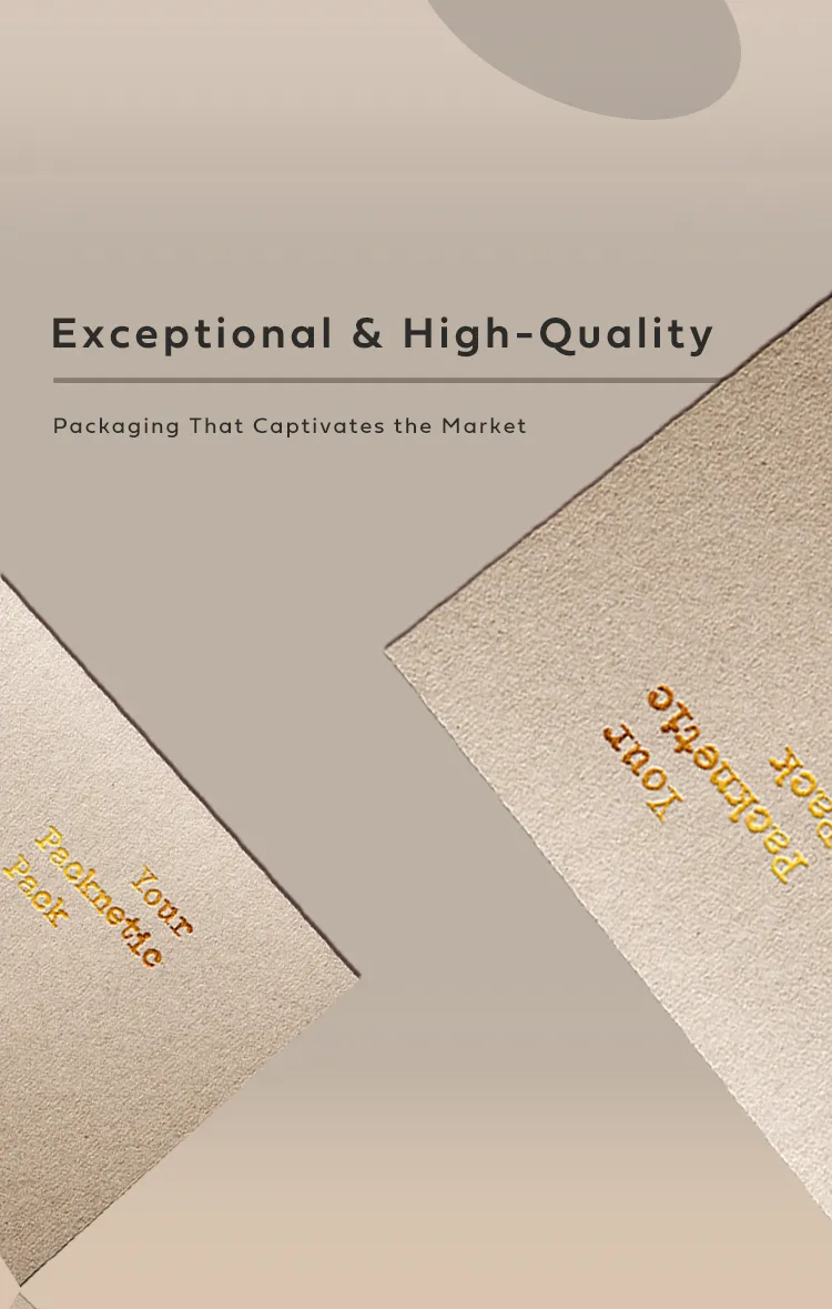 Packaging Box 3