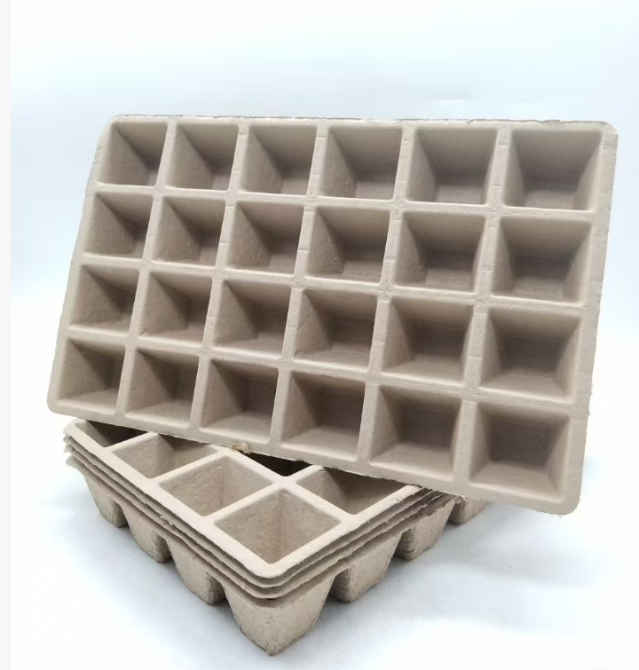 Eco-Friendly Recyclable Biodegradable Paper Cups and Boxes Set for Hot/Cold Drinks and Takeout Food Packaging