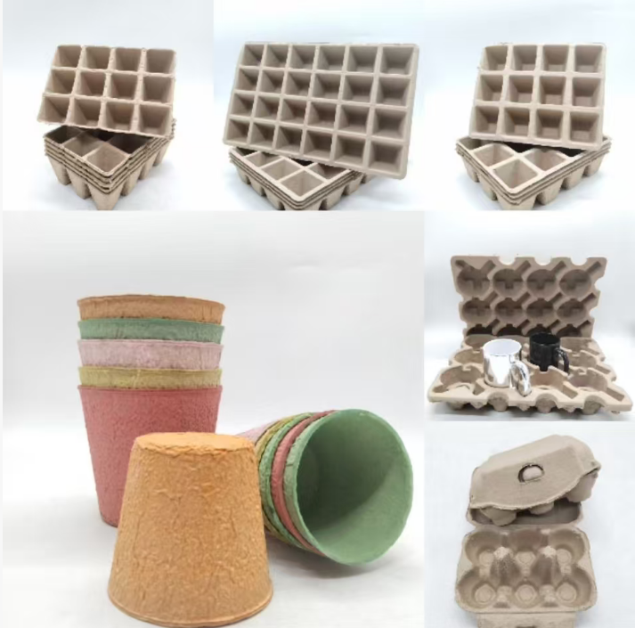 Eco-Friendly Recyclable Biodegradable Paper Cups and Boxes Set for Hot/Cold Drinks and Takeout Food Packaging