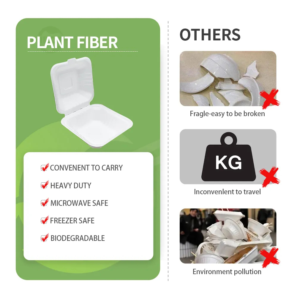 Product Details 2