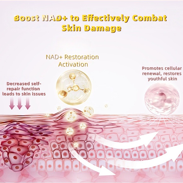 Ready To Ship NAD Plus Peptide Anti Aging NAD+ Skin Booster Care 100mg PDRN &amp; Nad+ Peptide Lyophilized Powder Vials Ampoule