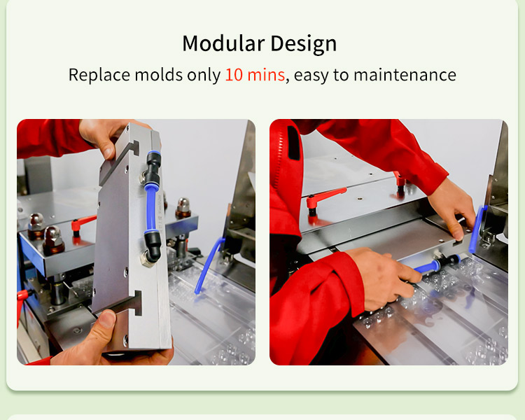 Capsule Blister Packing Machine 5