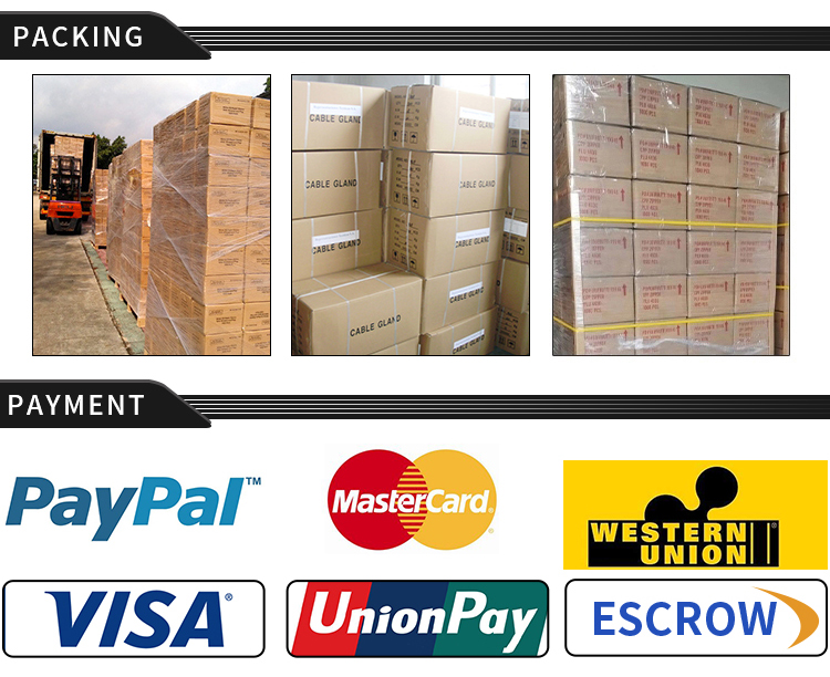 Packaging Process