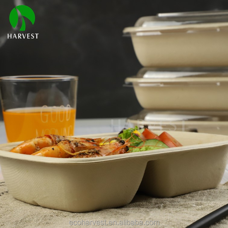 Multiple Specifications Rectangle Biodegradable Eco Friendly Food Packaging