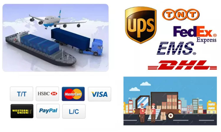 Packing and Shipping Delivery Options