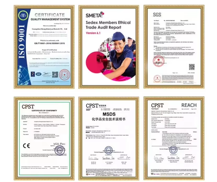 Main Certificate