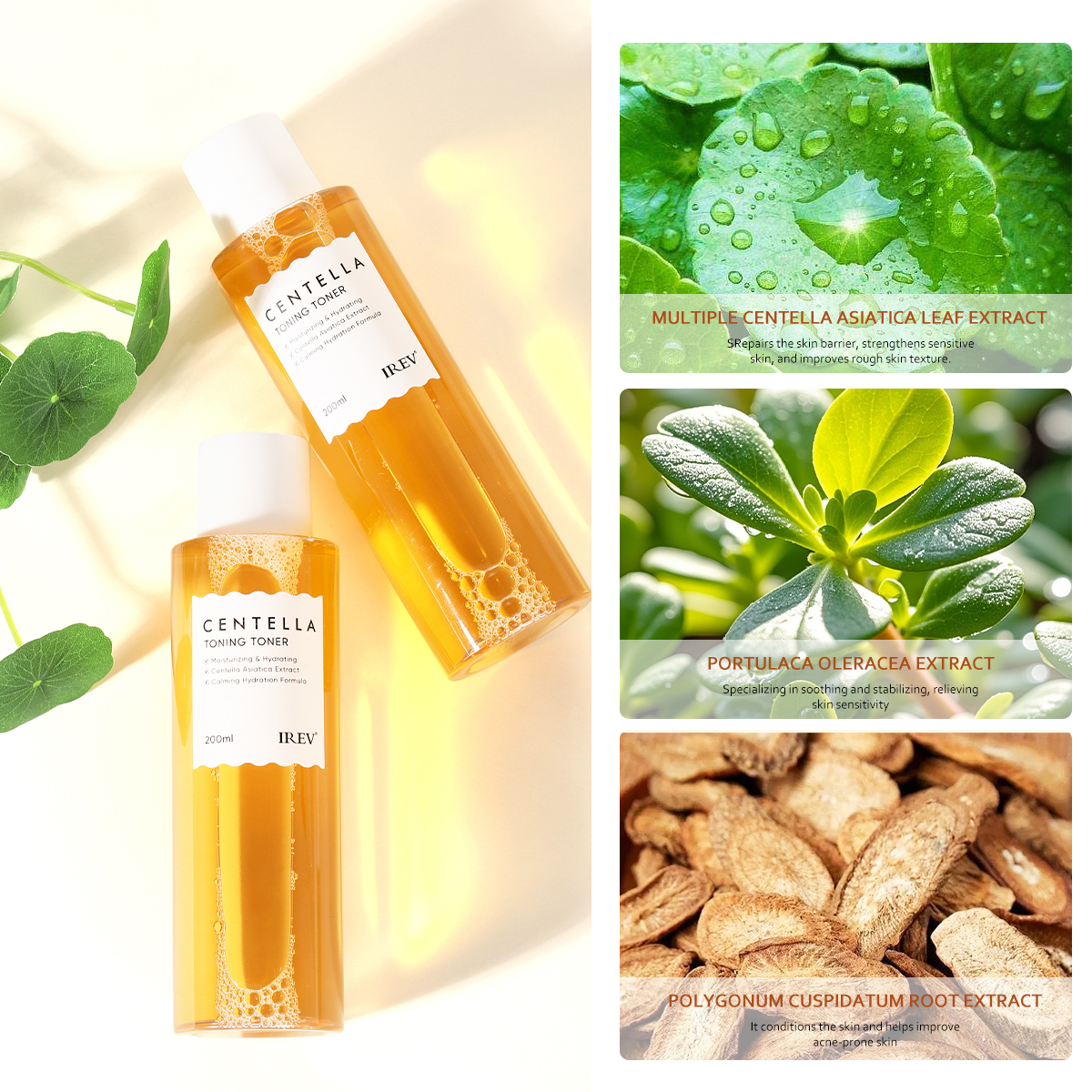 Private Label Centella Asiatica Toner Soothing Redness Repairing The Skin Barrier Refreshing Smooth And Moisturizing OEM Toner