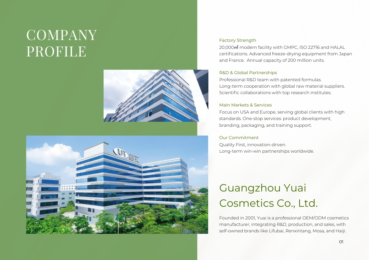 Company Profile 1