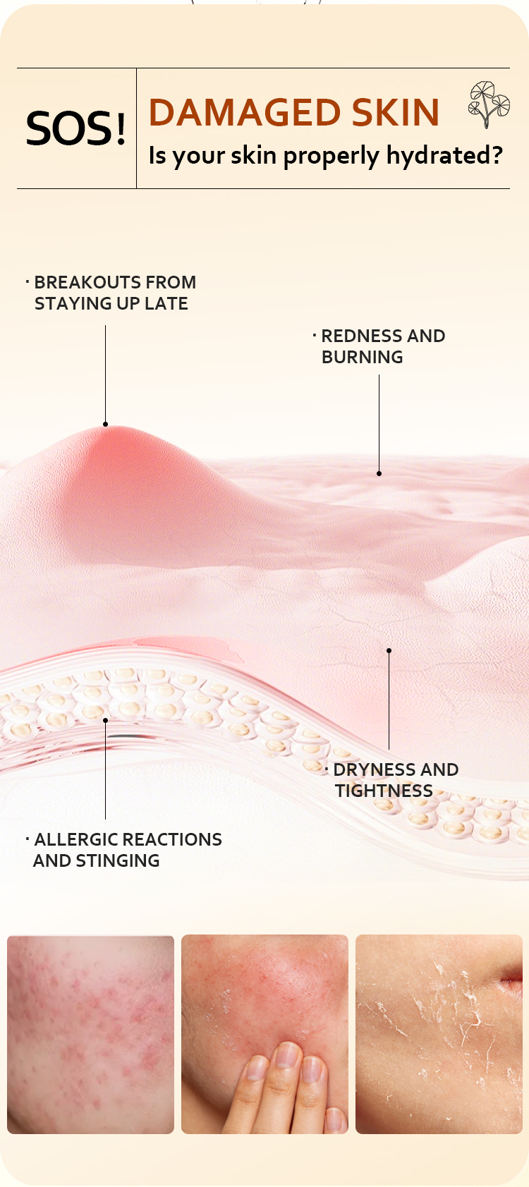 Centella Asiatica Toner Detail 2