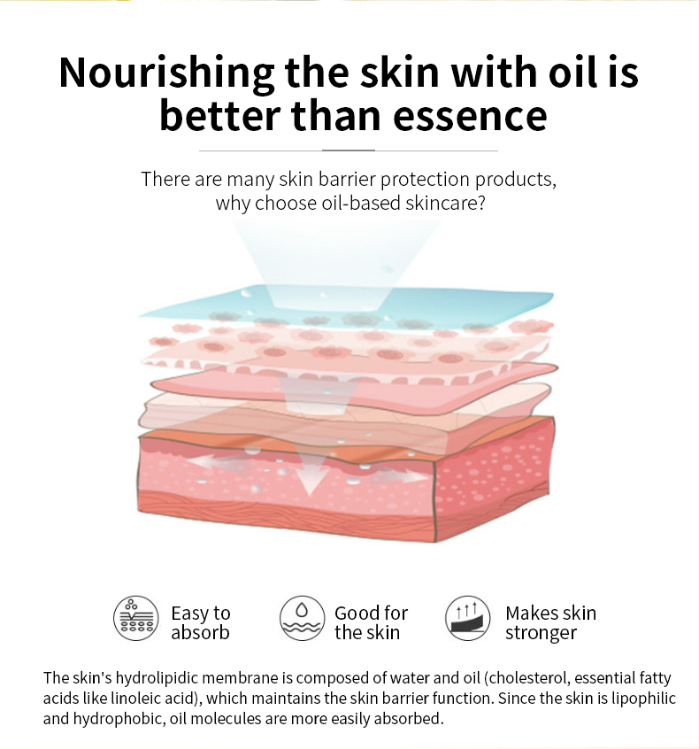 OEM Flash Sale Ceramide NP Facial Nourishing Oil Skin Smoothing and Calming Barrier Repair Serum Oil for Face for Skin Repair