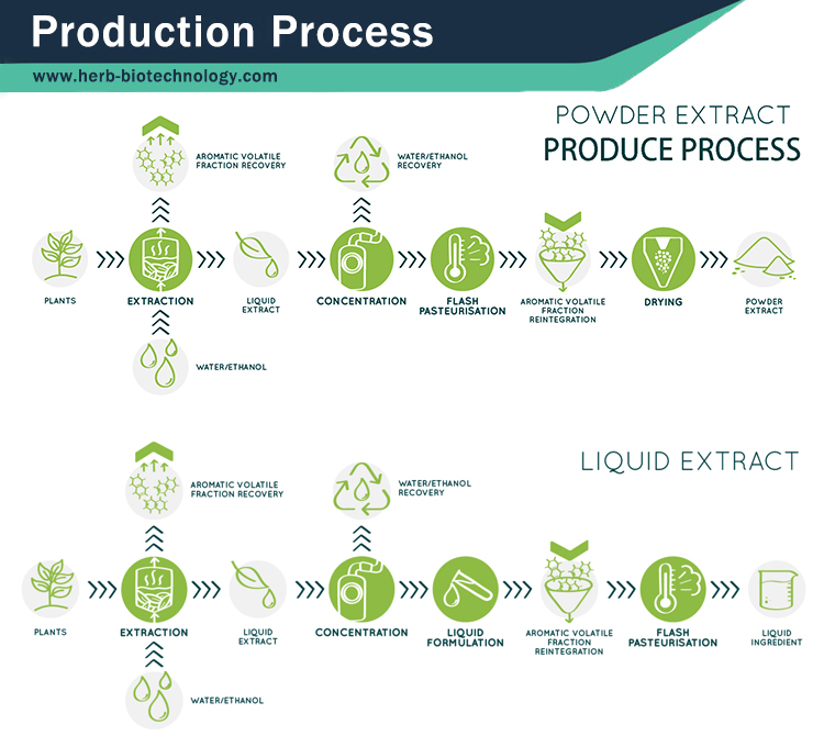 Production Details 13