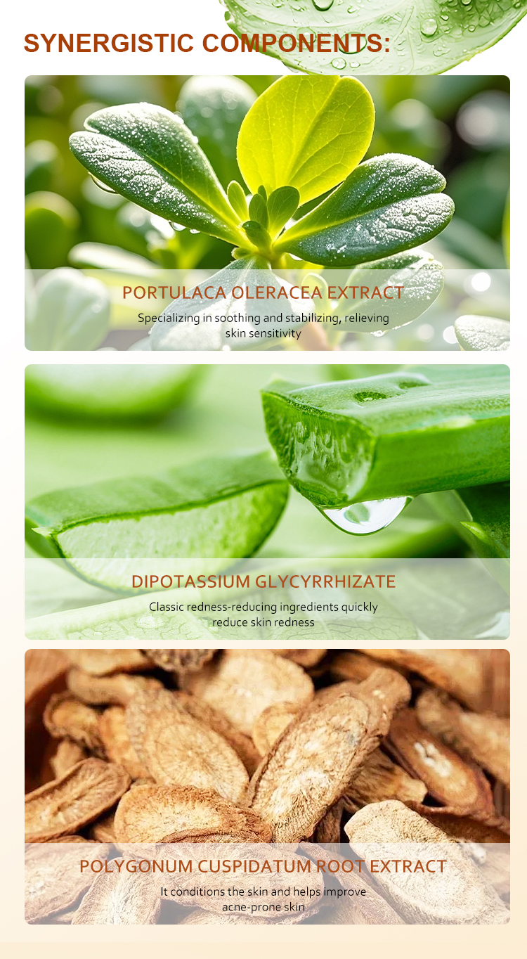 Centella Asiatica Toner Detail 7