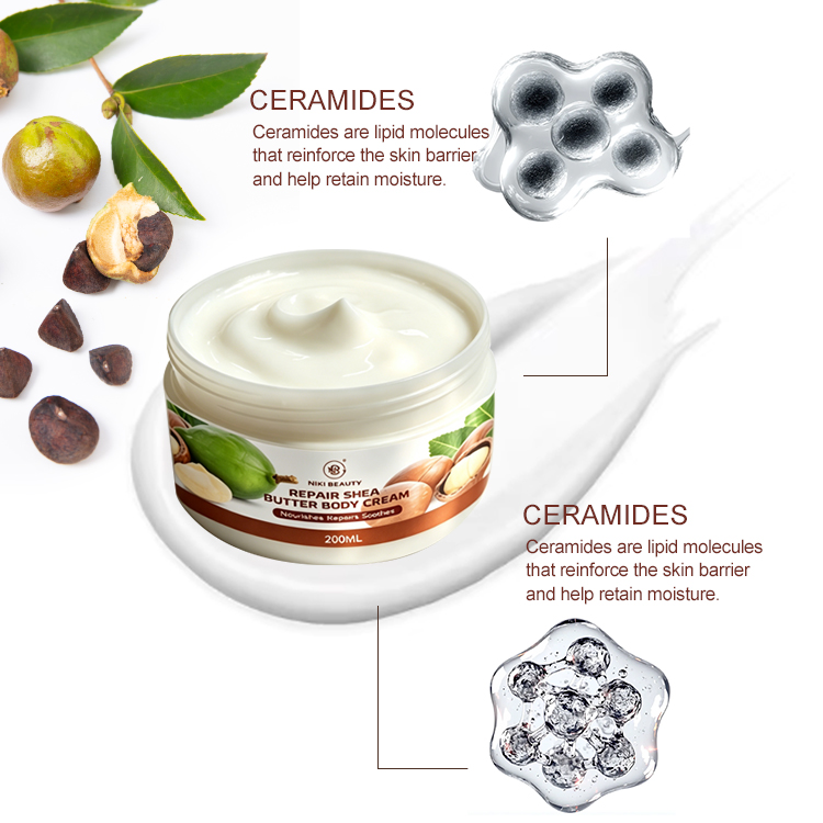 Wholesale 200ml Ceramide Squalane Whitening Nourishing Skin Barrier Moisturizer Factory Price Custom Label Repair Body Cream for
