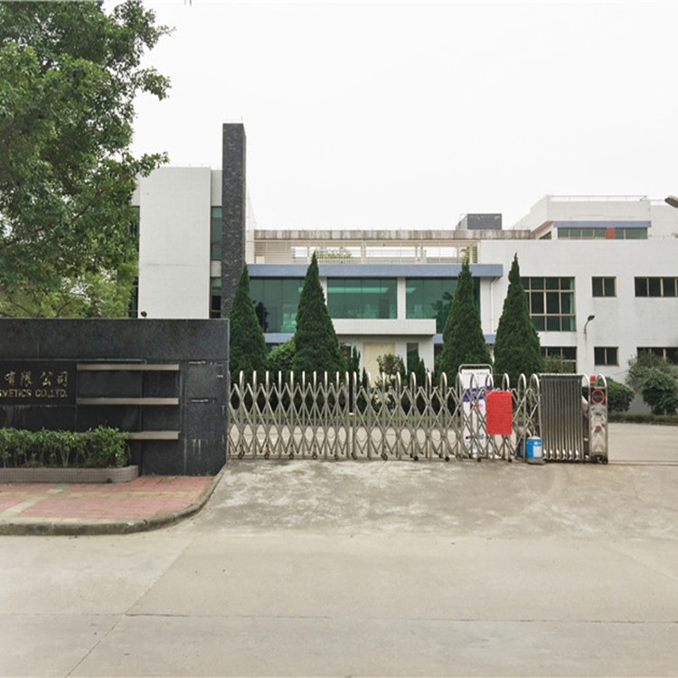 Company Overview