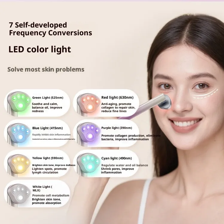 Facial Massager Detail