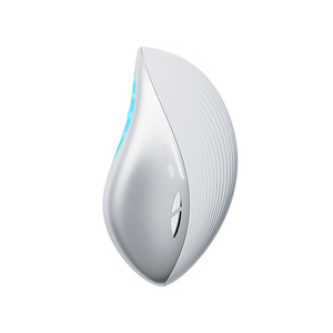 Multifunction Portable Home Use RF Beauty Instrument EMS Facial Beauty Device for Lifting Tighten Skin