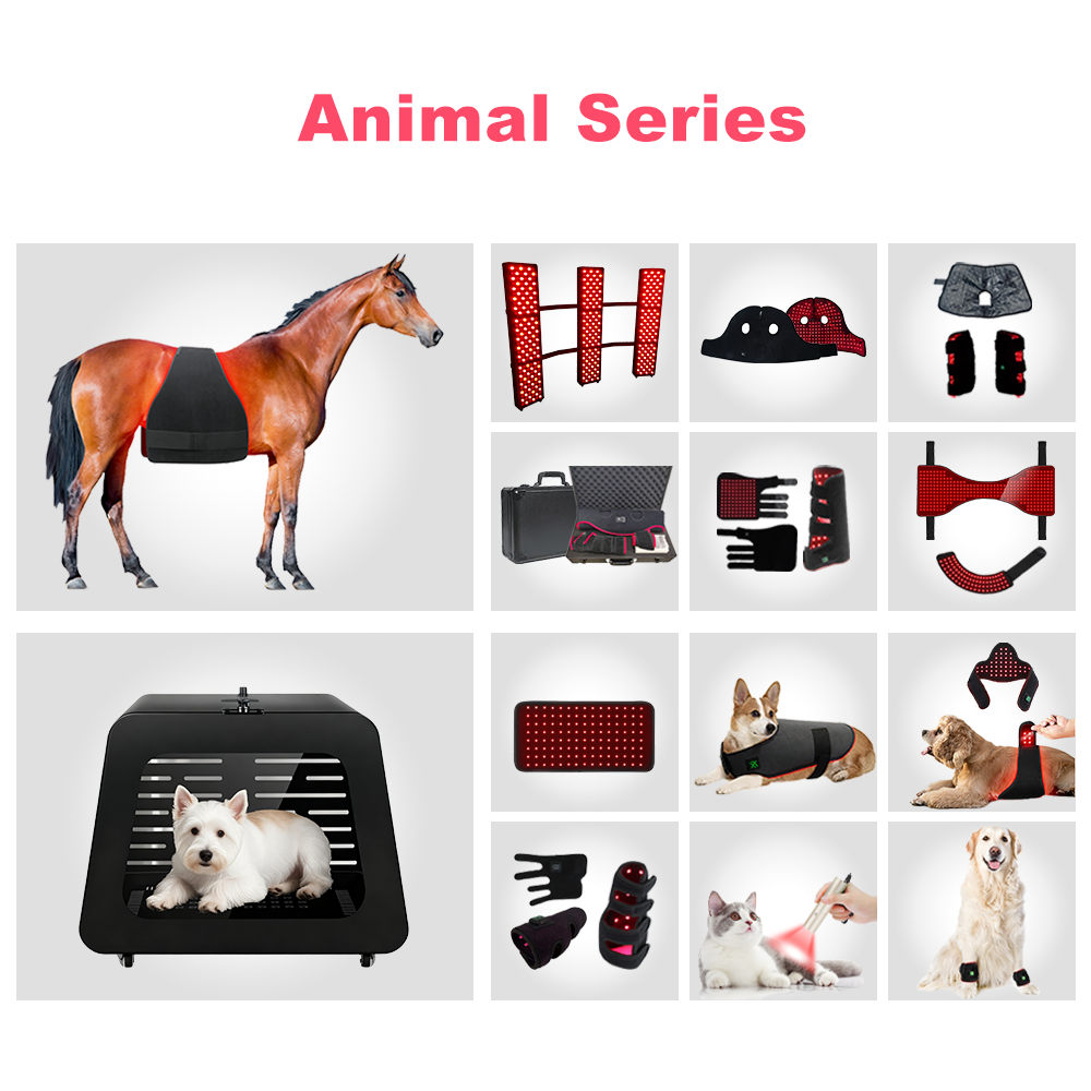 New Trend Infrared Light Therapy Dog Device Red Light Therapy Belt Dog Infrared Therapy Wrap
