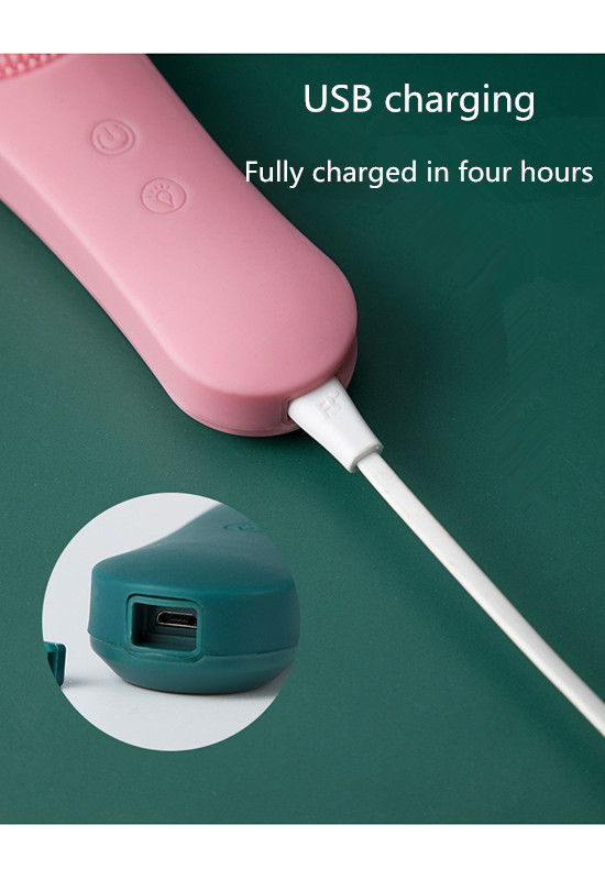 Electric Facial Cleaner
