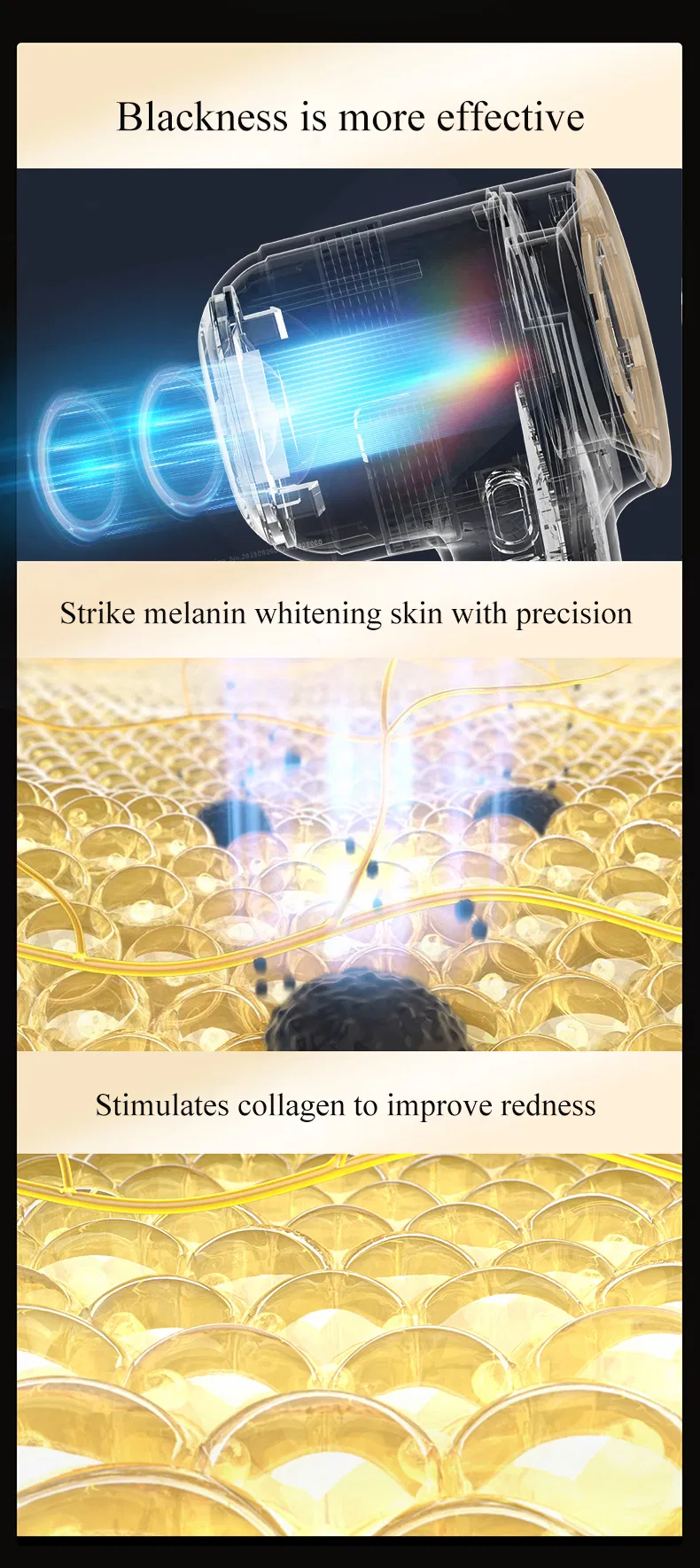 Infographic 5