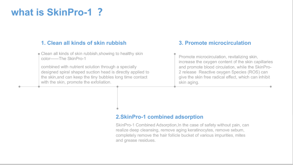 Product Description 12