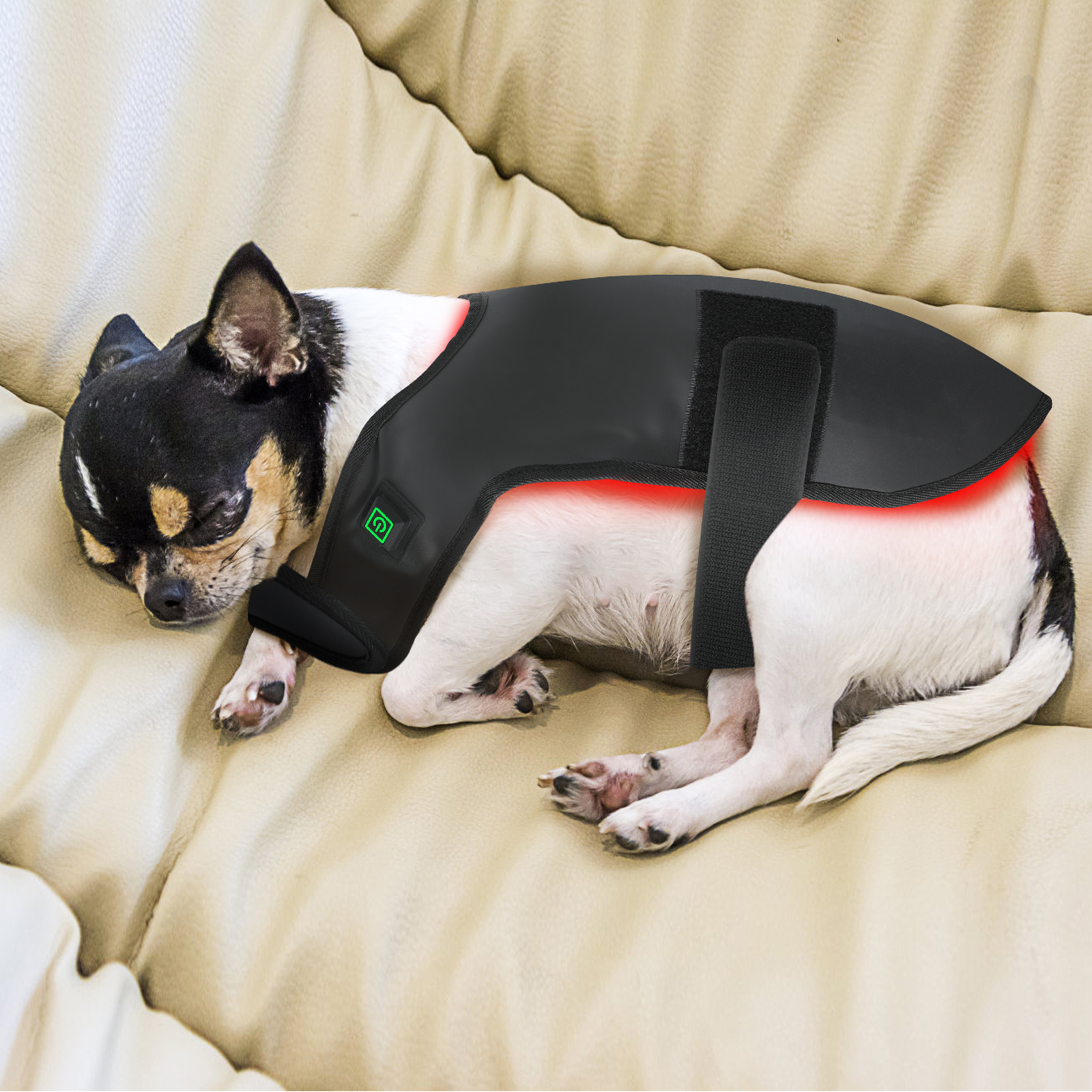 New Trend Infrared Light Therapy Dog Device Red Light Therapy Belt Dog Infrared Therapy Wrap