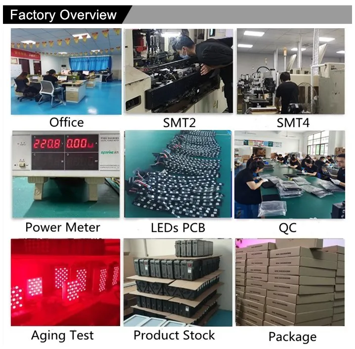 Company Profile 5