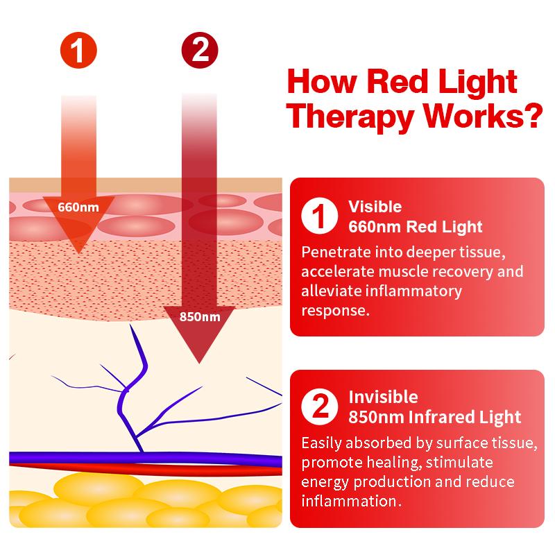 Red Light Therapy Belt Lamp Led Wearable Devices Muscle Portable Magic Device Foweway Photorejuvenation Machine