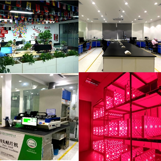 Facility 3