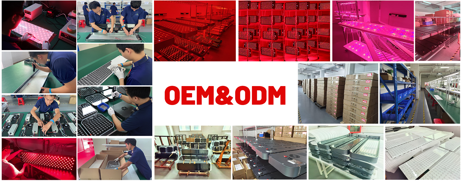 Company Profile Overview