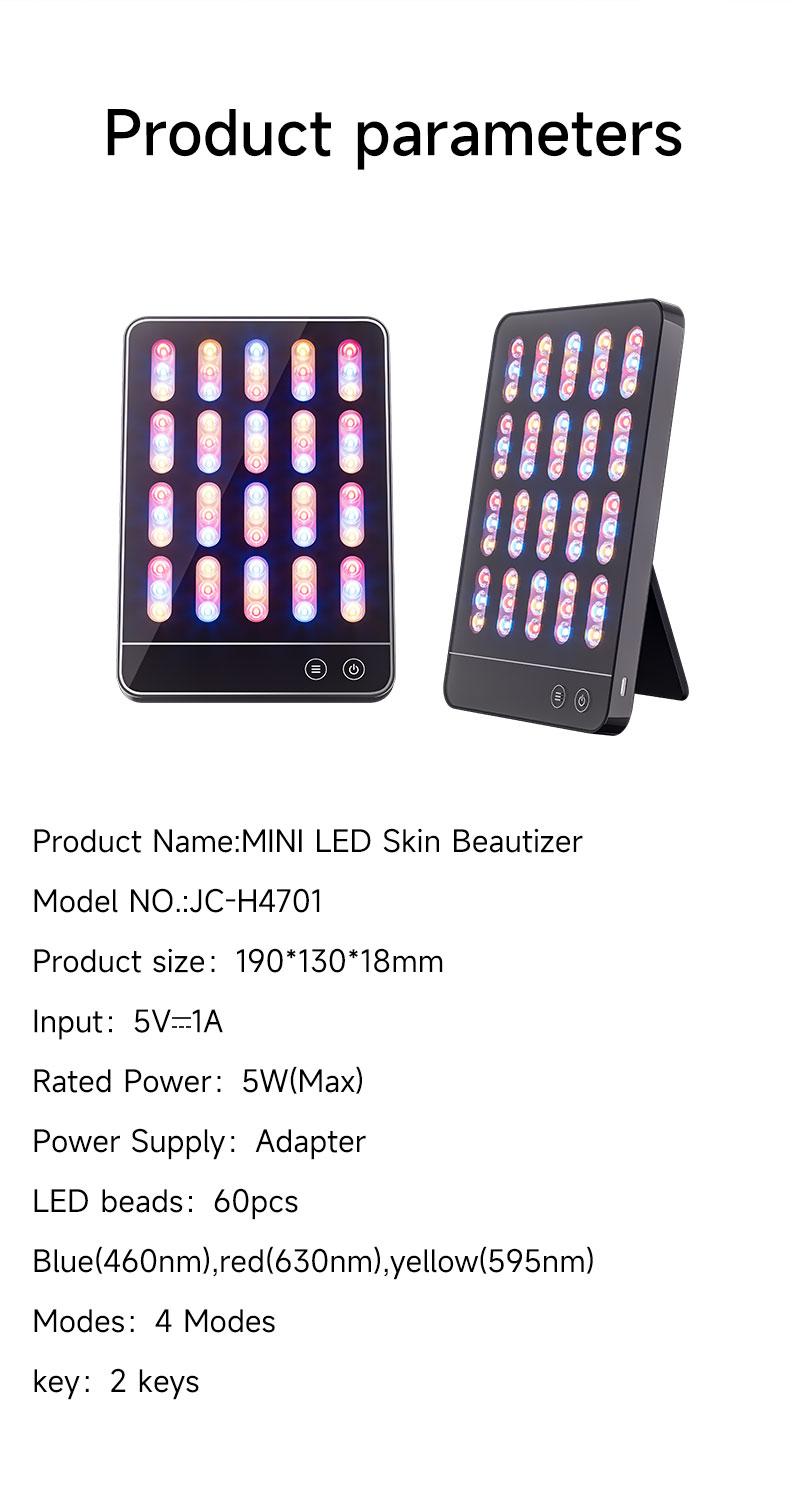 LED Beauty Instrument
