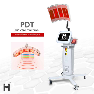 Professional Salon Use 5 Color Standing PDT Light Therapy Machine LED Photon Skin Rejuvenation Acne Treatment Whitening