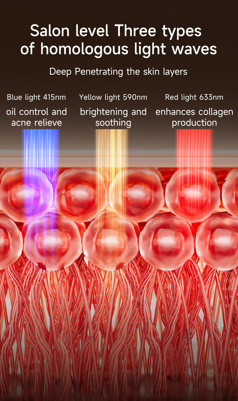 Portable LED Therapy