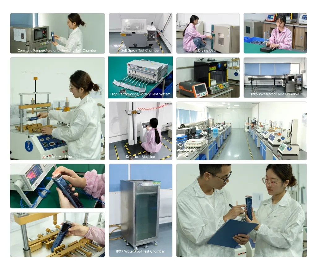 Testing Process
