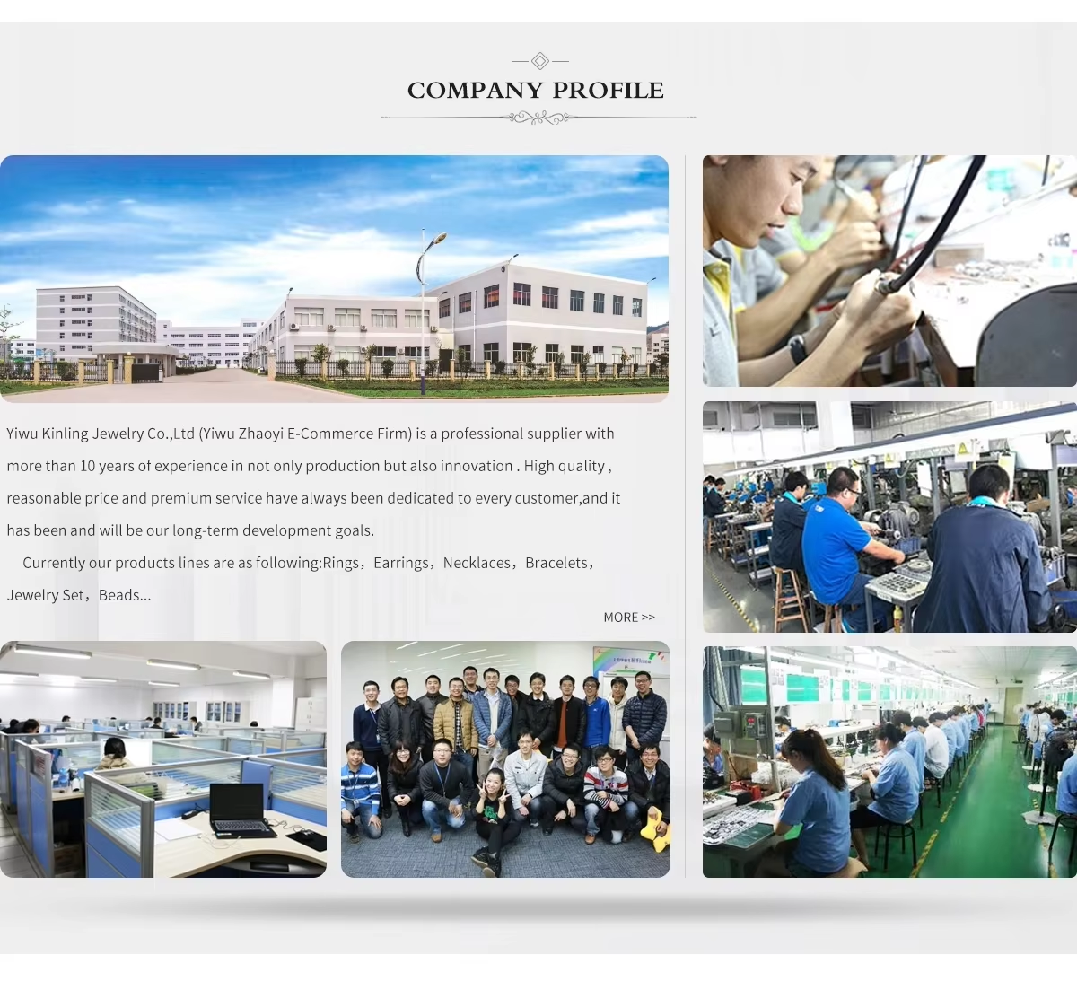 Company Profile Details