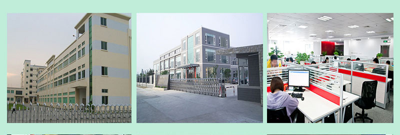 Company Banner