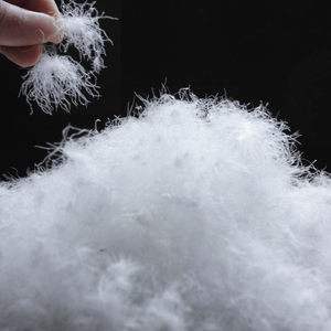 Product Description Image