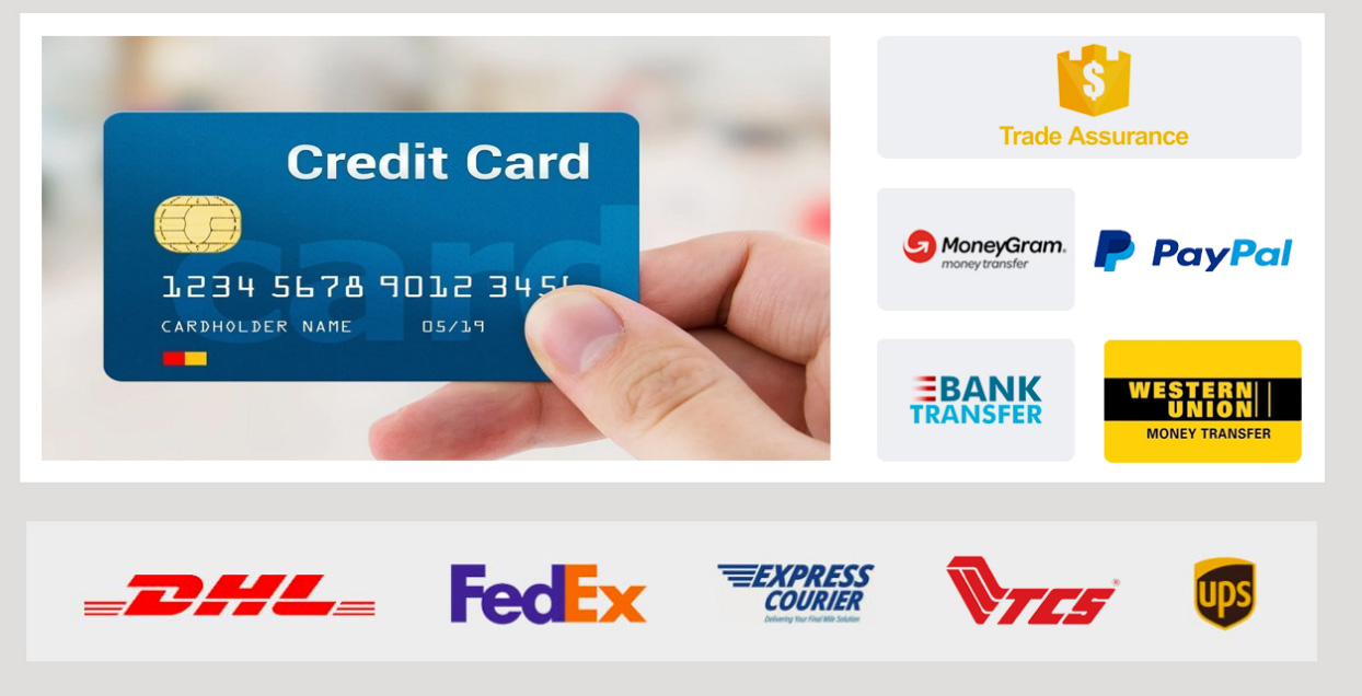 Accepted Payment Methods and Shipping Standard Channels