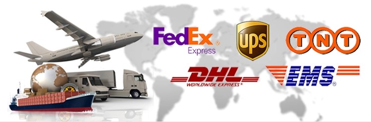 Packing and delivery visualization